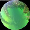 ./images/calvert/underwater/20260612/underwater20260612_182001M.jpg