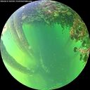 ./images/calvert/underwater/20260612/underwater20260612_182501M.jpg