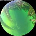 ./images/calvert/underwater/20260612/underwater20260612_183001M.jpg