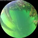 ./images/calvert/underwater/20260612/underwater20260612_183501M.jpg