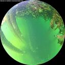 ./images/calvert/underwater/20260612/underwater20260612_184001M.jpg