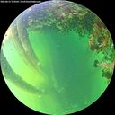 ./images/calvert/underwater/20260612/underwater20260612_184501M.jpg