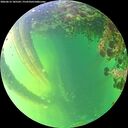 ./images/calvert/underwater/20260612/underwater20260612_185501M.jpg