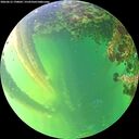 ./images/calvert/underwater/20260612/underwater20260612_190001M.jpg