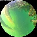 ./images/calvert/underwater/20260612/underwater20260612_191001M.jpg