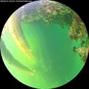 ./images/calvert/underwater/20260612/underwater20260612_191501M.jpg