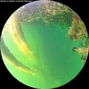 ./images/calvert/underwater/20260612/underwater20260612_194002M.jpg