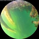 ./images/calvert/underwater/20260612/underwater20260612_195002M.jpg