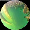 ./images/calvert/underwater/20260612/underwater20260612_195501M.jpg