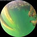 ./images/calvert/underwater/20260612/underwater20260612_200501M.jpg