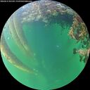 ./images/calvert/underwater/20260612/underwater20260612_201501M.jpg