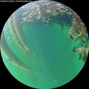./images/calvert/underwater/20260612/underwater20260612_203001M.jpg