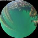 ./images/calvert/underwater/20260612/underwater20260612_211501M.jpg