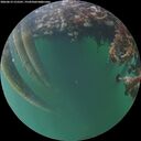 ./images/calvert/underwater/20260612/underwater20260612_215501M.jpg
