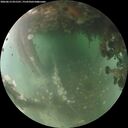 ./images/calvert/underwater/20260613/underwater20260613_051501M.jpg