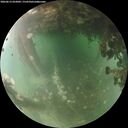 ./images/calvert/underwater/20260613/underwater20260613_052002M.jpg