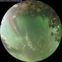 ./images/calvert/underwater/20260613/underwater20260613_053002M.jpg
