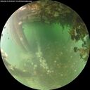 ./images/calvert/underwater/20260613/underwater20260613_054501M.jpg