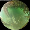 ./images/calvert/underwater/20260613/underwater20260613_055001M.jpg