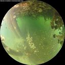 ./images/calvert/underwater/20260613/underwater20260613_060002M.jpg