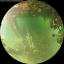 ./images/calvert/underwater/20260613/underwater20260613_060501M.jpg
