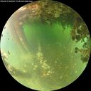 ./images/calvert/underwater/20260613/underwater20260613_063001M.jpg