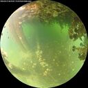 ./images/calvert/underwater/20260613/underwater20260613_063501M.jpg