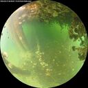 ./images/calvert/underwater/20260613/underwater20260613_064001M.jpg