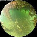 ./images/calvert/underwater/20260613/underwater20260613_064501M.jpg