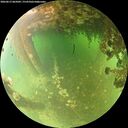 ./images/calvert/underwater/20260613/underwater20260613_065001M.jpg