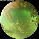 ./images/calvert/underwater/20260613/underwater20260613_065502M.jpg