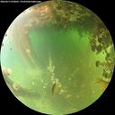 ./images/calvert/underwater/20260613/underwater20260613_070001M.jpg