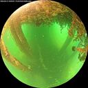 ./images/calvert/underwater/20260613/underwater20260613_100501M.jpg