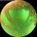 ./images/calvert/underwater/20260613/underwater20260613_101501M.jpg