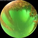 ./images/calvert/underwater/20260613/underwater20260613_103501M.jpg