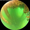 ./images/calvert/underwater/20260613/underwater20260613_104001M.jpg