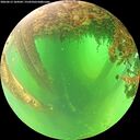 ./images/calvert/underwater/20260613/underwater20260613_104501M.jpg