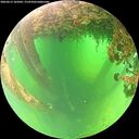 ./images/calvert/underwater/20260613/underwater20260613_105001M.jpg