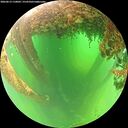 ./images/calvert/underwater/20260613/underwater20260613_110002M.jpg