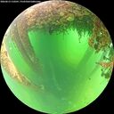 ./images/calvert/underwater/20260613/underwater20260613_110501M.jpg