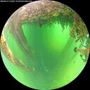 ./images/calvert/underwater/20260613/underwater20260613_111001M.jpg