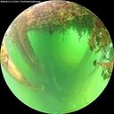 ./images/calvert/underwater/20260613/underwater20260613_111501M.jpg