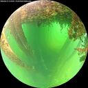 ./images/calvert/underwater/20260613/underwater20260613_112501M.jpg