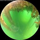 ./images/calvert/underwater/20260613/underwater20260613_113001M.jpg