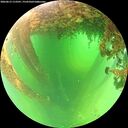 ./images/calvert/underwater/20260613/underwater20260613_113501M.jpg