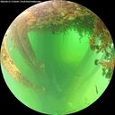 ./images/calvert/underwater/20260613/underwater20260613_114501M.jpg