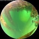 ./images/calvert/underwater/20260613/underwater20260613_115001M.jpg