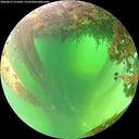 ./images/calvert/underwater/20260613/underwater20260613_115501M.jpg