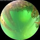 ./images/calvert/underwater/20260613/underwater20260613_120501M.jpg