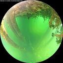 ./images/calvert/underwater/20260613/underwater20260613_122001M.jpg